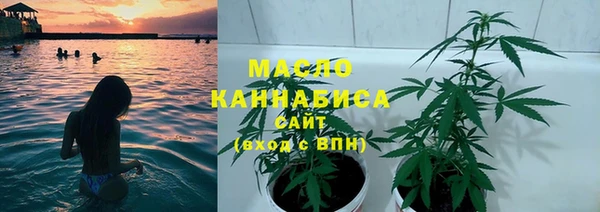 ПСИЛОЦИБИНОВЫЕ ГРИБЫ Богданович