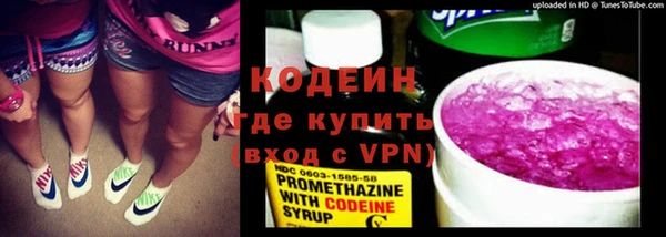 ПСИЛОЦИБИНОВЫЕ ГРИБЫ Богданович