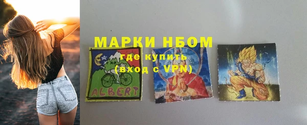 гашик Богородицк