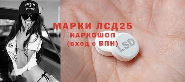 ПСИЛОЦИБИНОВЫЕ ГРИБЫ Богданович