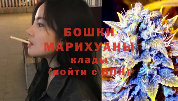 ПСИЛОЦИБИНОВЫЕ ГРИБЫ Богданович