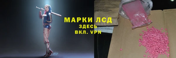 ПСИЛОЦИБИНОВЫЕ ГРИБЫ Богданович