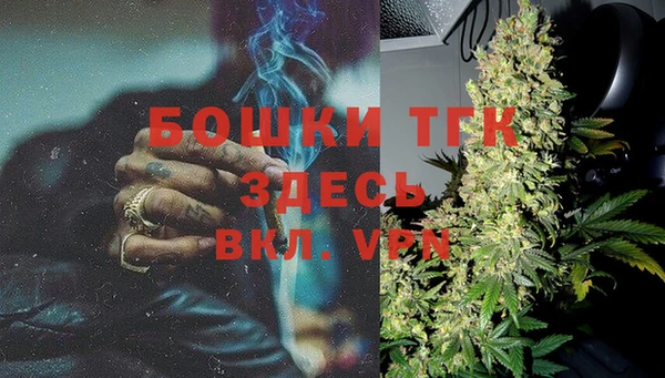 ПСИЛОЦИБИНОВЫЕ ГРИБЫ Богданович