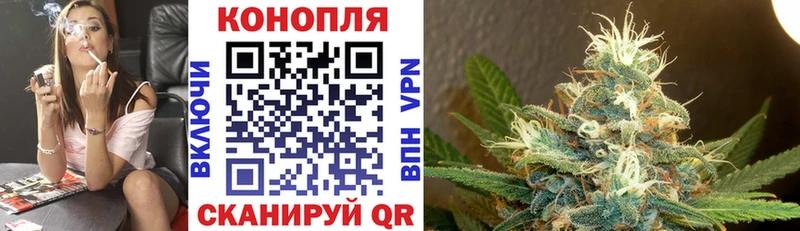 Бошки Шишки гибрид  Костерёво 